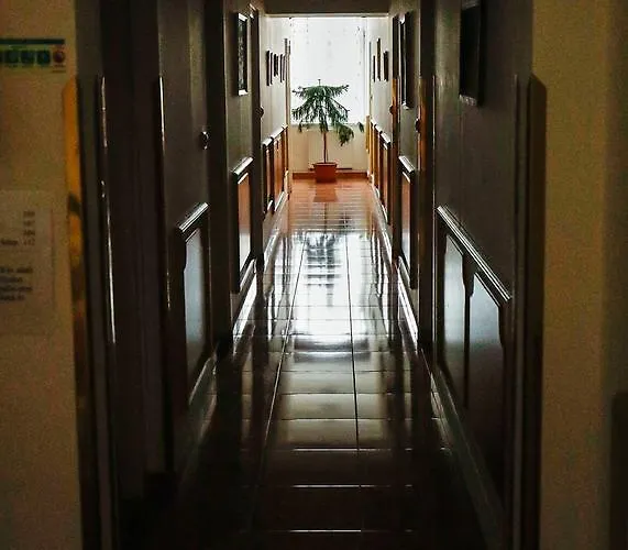 住宿加早餐酒店 Gozmalom Etterem Es Panzio Körmend